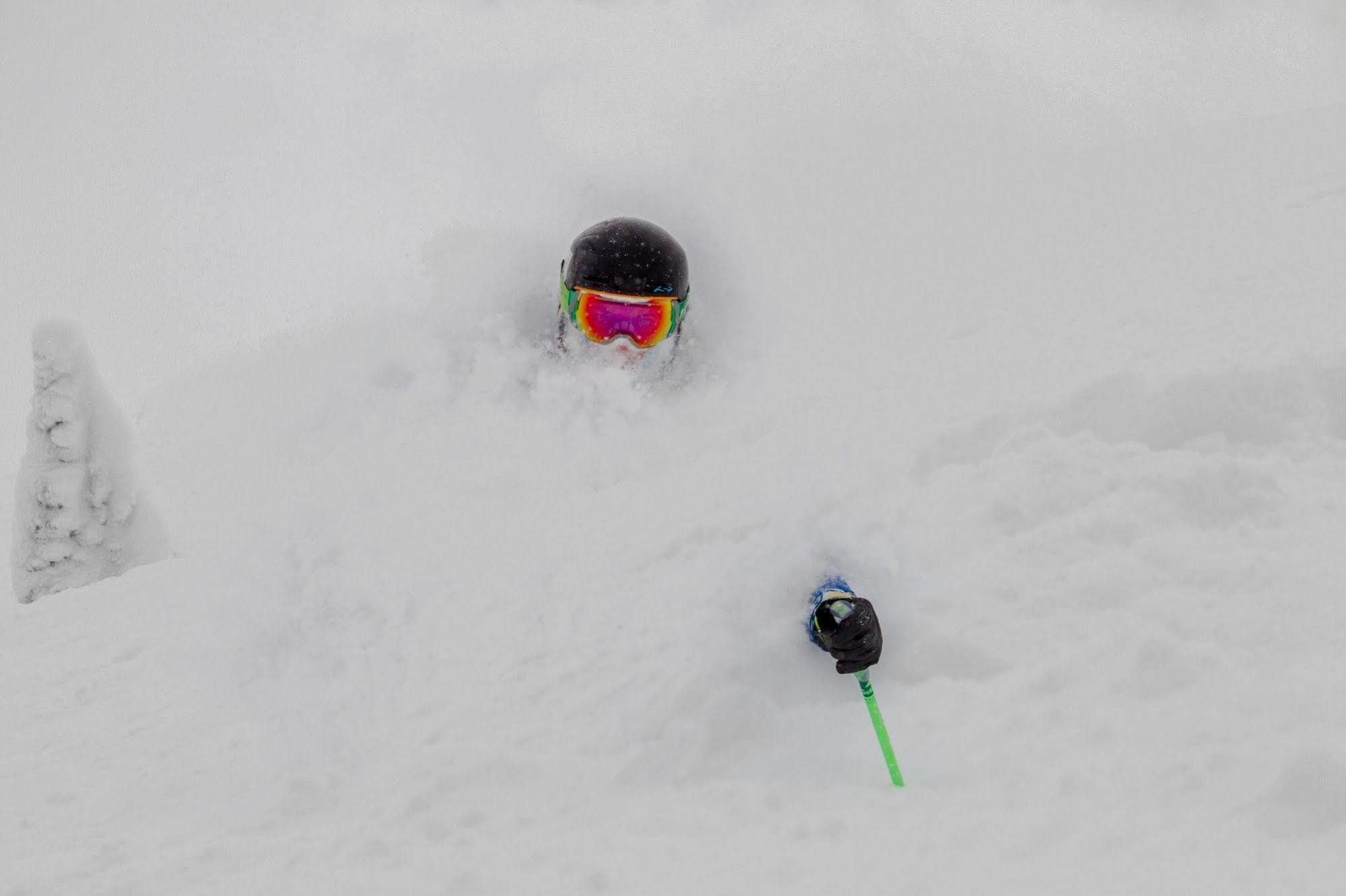 Teewinot Lodge By Grand Targhee Resort Alta Екстериор снимка